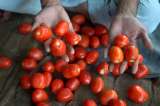 Diez alimentos que parecen verduras, pero en verdad son frutas