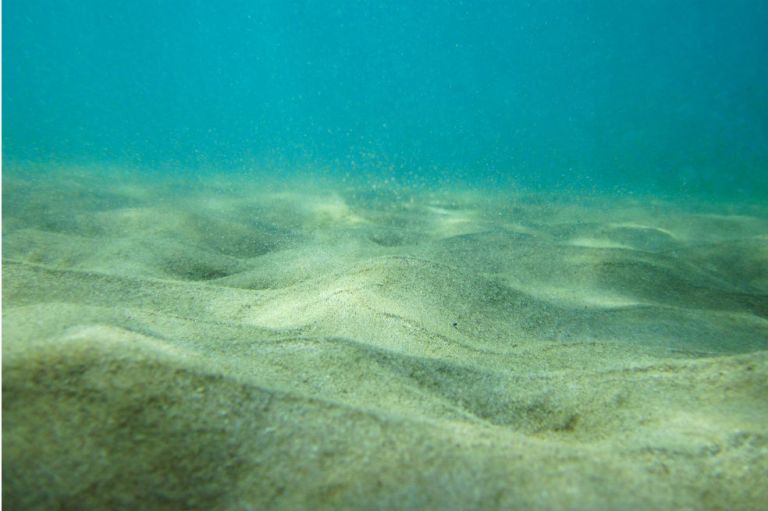 Las fibras plásticas de la ropa ya llegaron hasta el fondo del mar