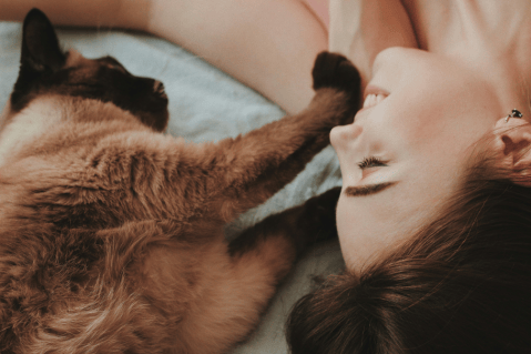 Diferencias entre gatos y gatas que quizá no conocía
