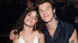 ¿Shawn Mendes y Camila Cabello se reconciliaron? Este video sería la prueba