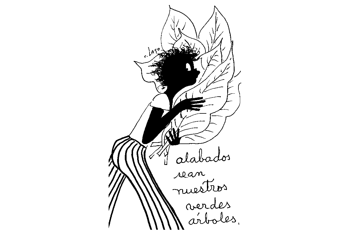 Caricaturas