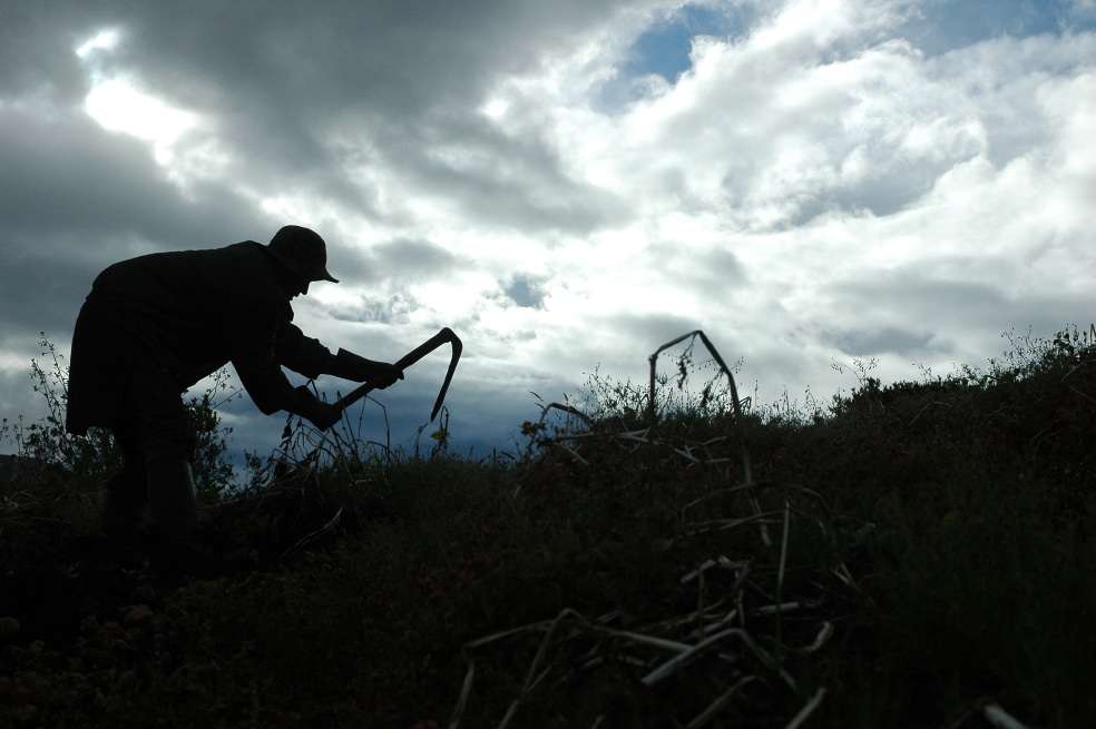 En Colombia hay 230.963 Unidades de Producción Agropecuaria de la más baja productividad. / Archivo
