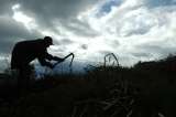 ¿Qué necesita Colombia para ser más productiva?