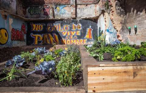“La fortaleza”, la olla que ahora será una huerta urbana en Bogotá