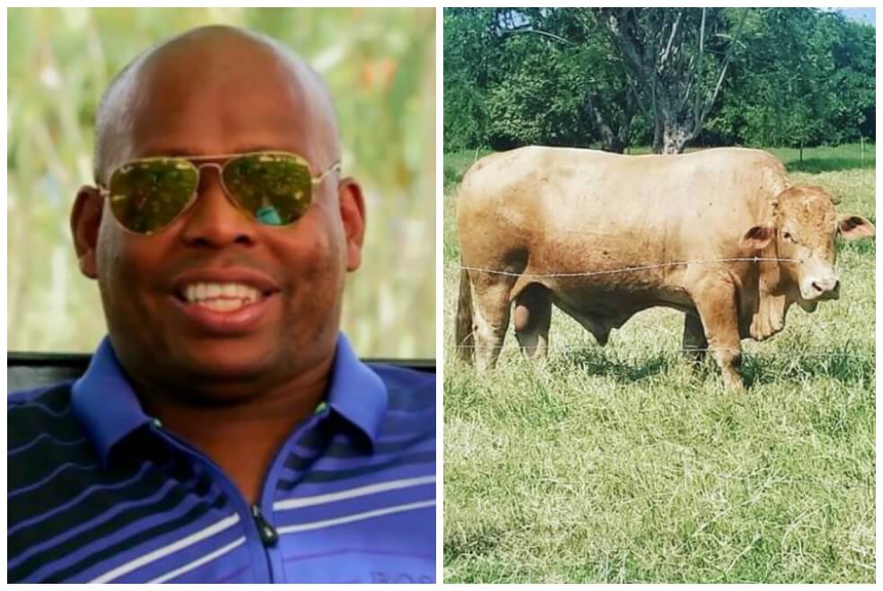 Faustino Asprilla y Lagrimón, su "consentido". / Archivo y tomada del Twitter de Faustino Asprilla