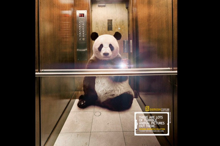 Las ‘selfies’ salvajes de National Geographic