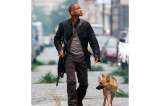 ¿Por qué Will Smith no pudo adoptar a Abbey, la perrita de ‘Soy leyenda’?