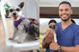 Adopción, vacunación y más: agéndese para la jornada de bienestar animal en Ibagué