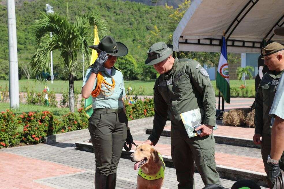 Perros Policía