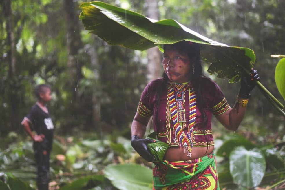 Investigadores colombianos estudiaron la corriente de aire responsable de las intensas lluvias del Chocó. / Mauricio Alvarado - El Espectador