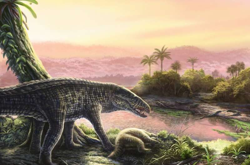 (Foto de referencia) Imaginen un cocodrilo con la complexión de un galgo: ese es un sebécido. De gran altura, con algunas especies que alcanzan los 6 metros de longitud, los sebécidos fueron depredadores superiores hasta su extinción durante el Mioceno.
/ JORGE MACHUKY