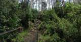 Rescatan a dos jóvenes que se perdieron de noche en los Cerros Orientales de Bogotá