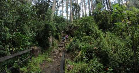 Rescatan a dos jóvenes que se perdieron de noche en los Cerros Orientales de Bogotá