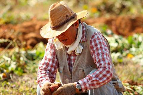 Desempleo en mayo aumentó hasta 10,5 % y ocupación cayó a 56,4 %