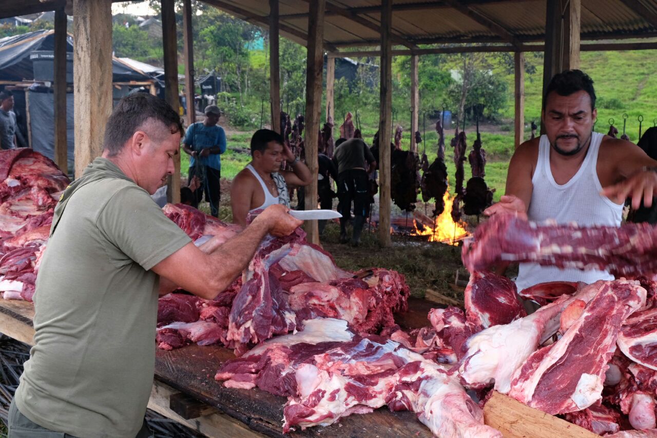 Preparativos para la celebración del aniversario 53 de las Farc en la zona veredal de Buenavista en el Meta. /Fotos Ralf Pauli
