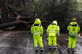 “Lluvias catastróficas” en California: más de 14 millones de personas en alerta