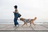 ¿Cómo saber si el suelo está muy caliente para pasear a un perro?