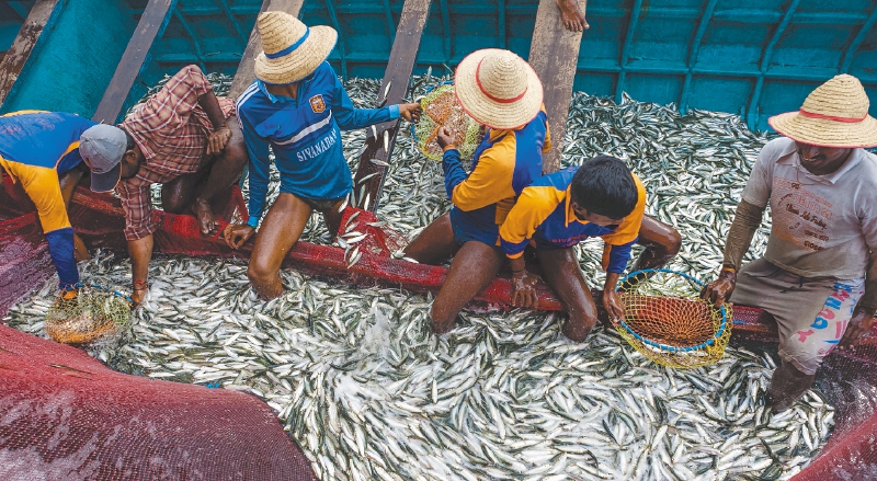 La producción de pescado en 2016 fue de 171 millones de toneladas. / Getty Images