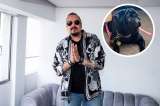 Pepe Aguilar presume la lujosa vida de su hijo menor: un perro pug. “Mi favorito”