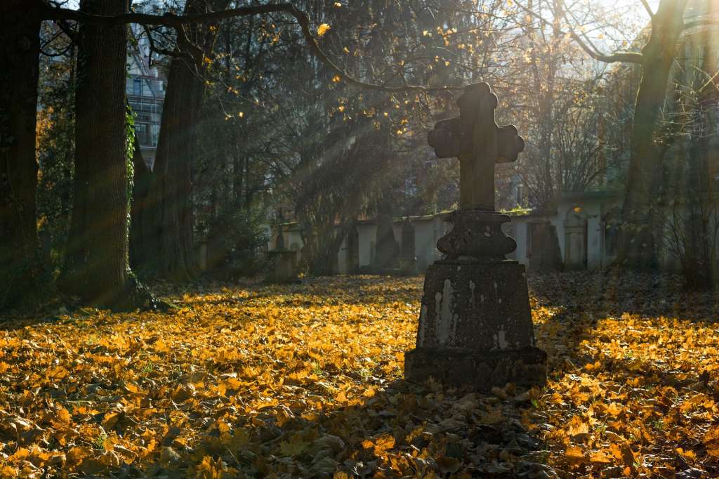 Me dirigí al panteón donde se hallaba. El lugar estaba en ruinas, los estantes habían caído sobre el ataúd que presentaba roturas por donde  podía verse parte del cráneo del difunto