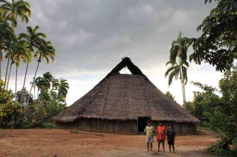 Aprendiendo a vivir como los hijos de la selva