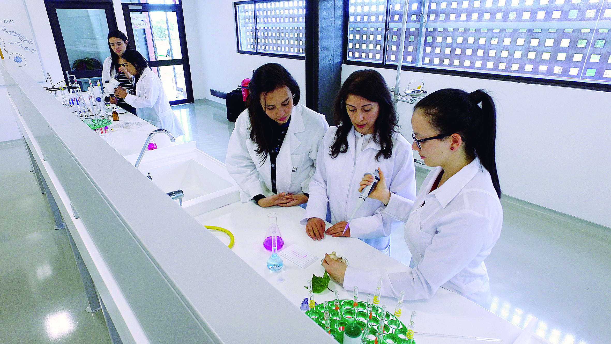 Escuela Colombiana de Ingeniería Julio Garavito