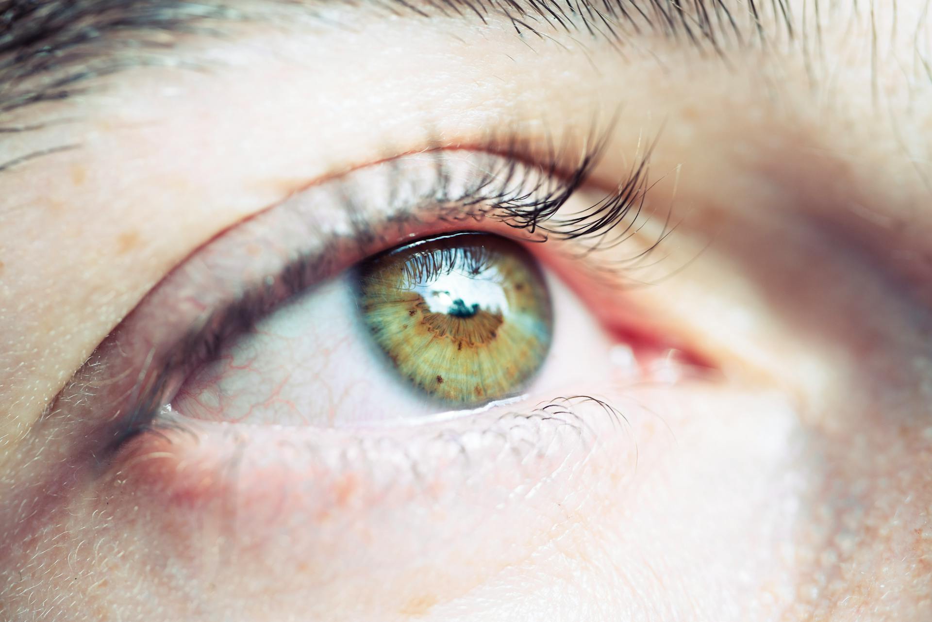 Uno de los datos más analizados por el registro biométrico facial es la retina ocular, como un aspecto único de cada ser humano.