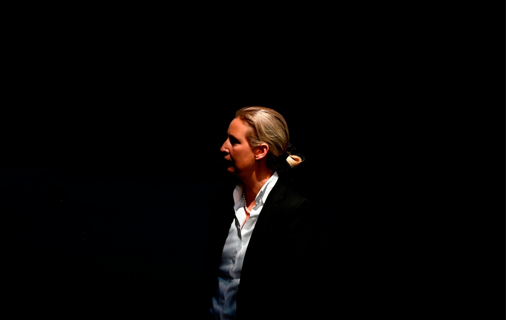 Alice Weidel AfD.