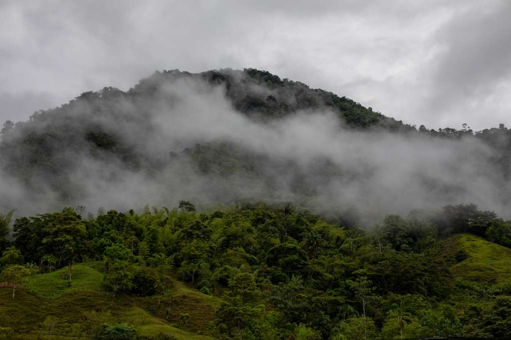 Selva húmeda tropical en Santa Cecilia, Risaralda, Colombia.