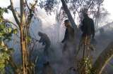Cuarenta bomberos intentan apagar incendio en la Sierra Nevada de Santa Marta