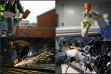 Los productos con los que Colombia podría tomar ventaja de la era Trump