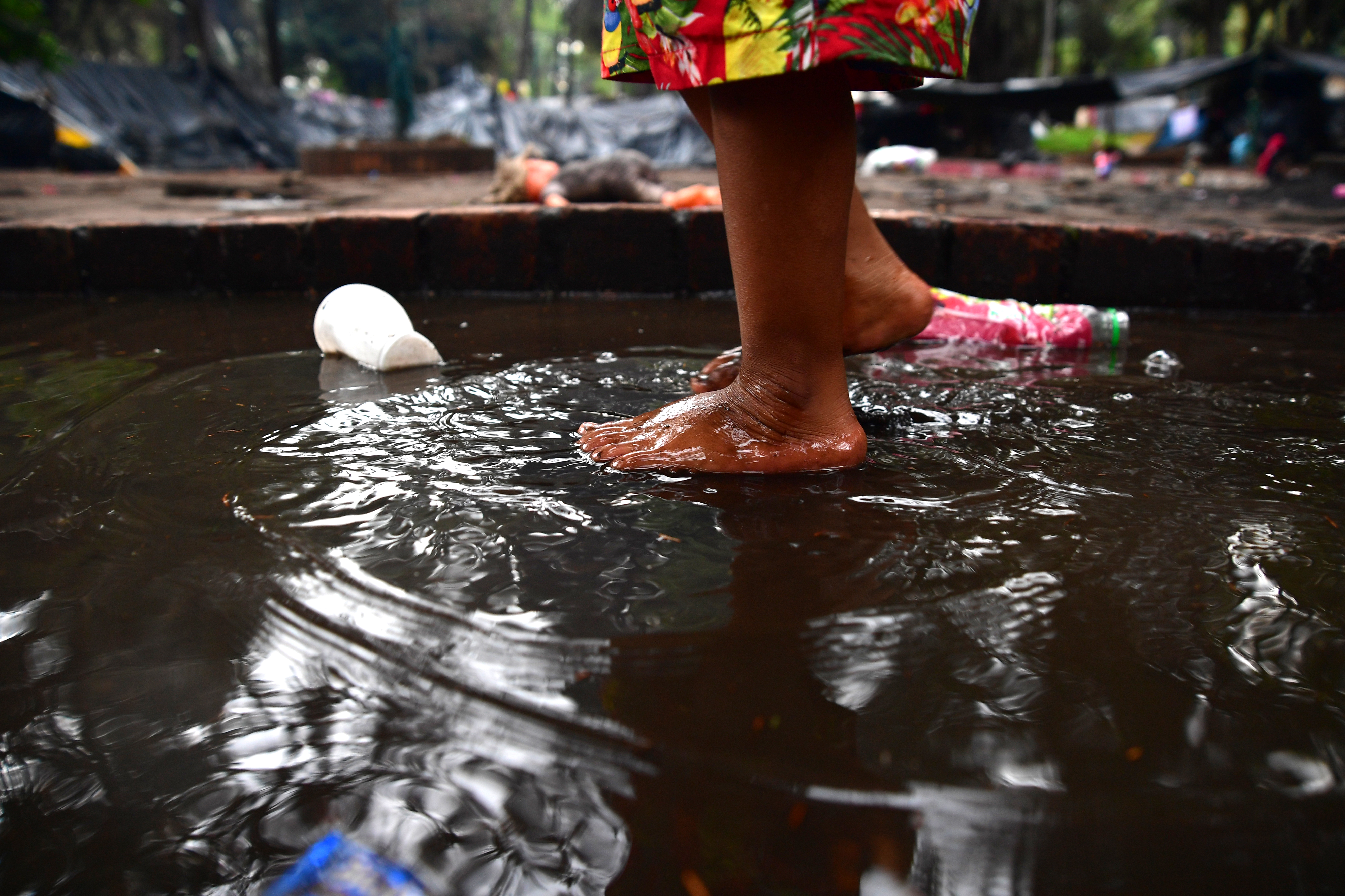 Indígenas asentados con cambuches de plásticos en el Parque Nacional, al que llegaron el 29 de septiembre en  su mayoría son niños, mujeres embarazadas y lactantes.