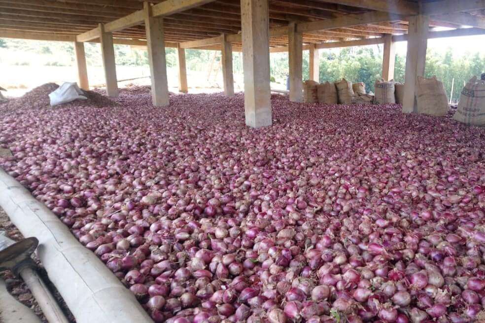 1.836 toneladas de productos agrícolas están represadas.
/ Giovanny Mejía