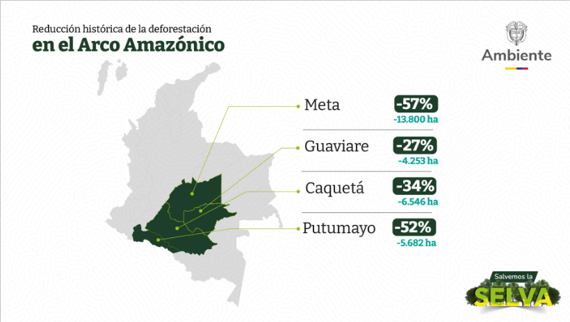 Balance de deforestación en Colombia 2023