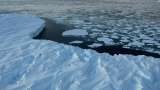 El hielo marino seguirá disminuyendo este año en ambos polos