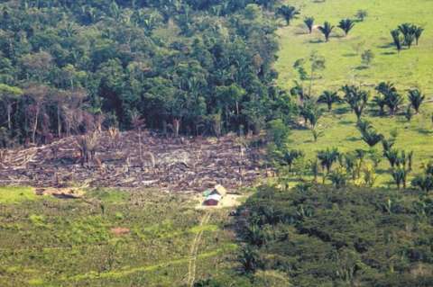 Perder la conexión entre los Andes y la Amazonia: un precio de la paz