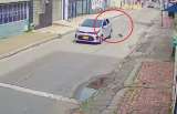 Autoridades buscan a individuo que arrojó a un gato de un vehículo en movimiento