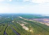 Reforestar el planeta ayudaría a cumplir el 37% de los Acuerdos de París
