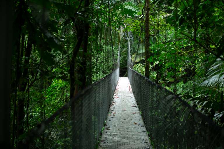 MISTICO PARK Y SUS PUETES COLGANTES COSTA RICA