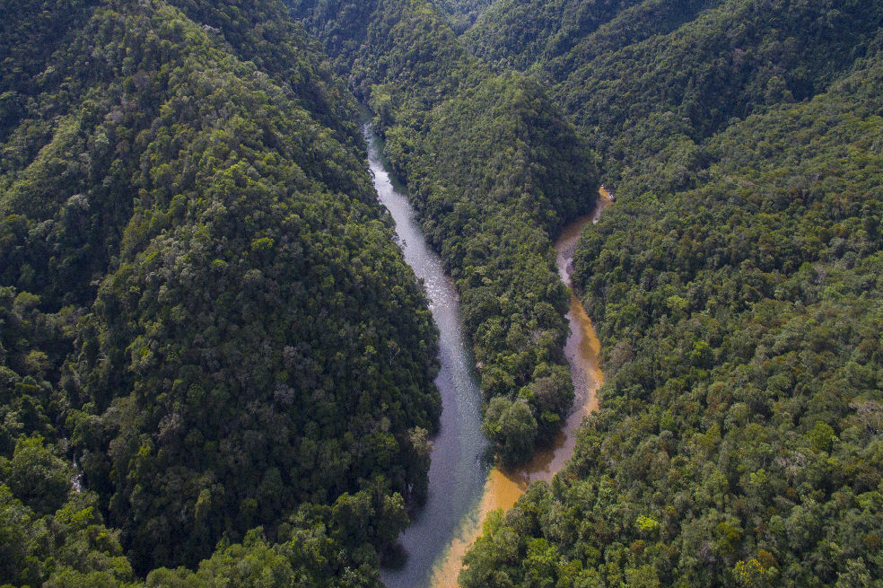 El río Samaná Norte se encuentra con la cuenca del río Magdalena. Ambientalistas proponen usar su cuenca para el ecoturismo y la conservación. / Fundación Yumana.