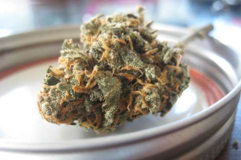 ¿Un porro para los abuelos? Razones para hablarles de marihuana medicinal