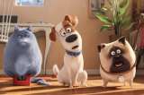 "La vida secreta de tus mascotas" recauda la mayor cifra conseguida por una película original
