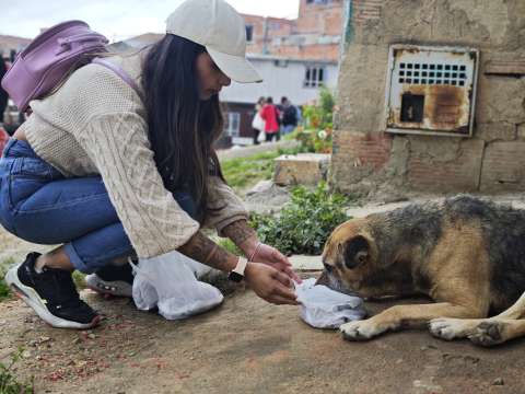 Convocan jornada masiva para alimentar perros callejeros en Quinchía, Risaralda