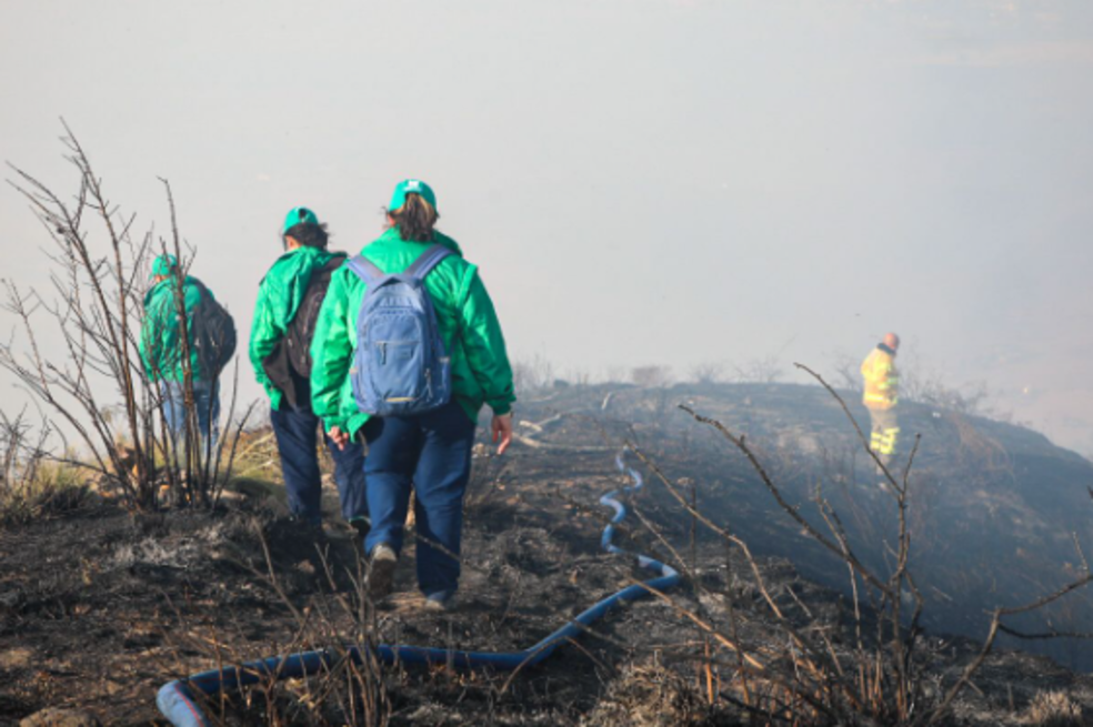 Incendios forestales Bogotá
