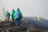 Autoridades rescatan animales silvestres afectados por incendios forestales en Colombia