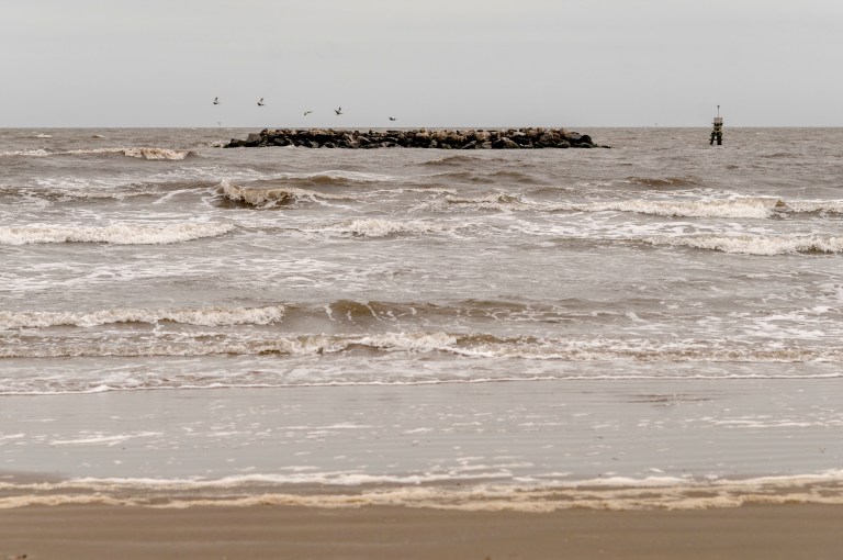 Así se vive el cambio de nombre del golfo de México a golfo de América en EE. UU.