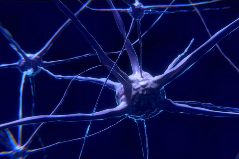 Estudio revela cómo la actividad del cerebro cambia cuando se está siendo egoísta