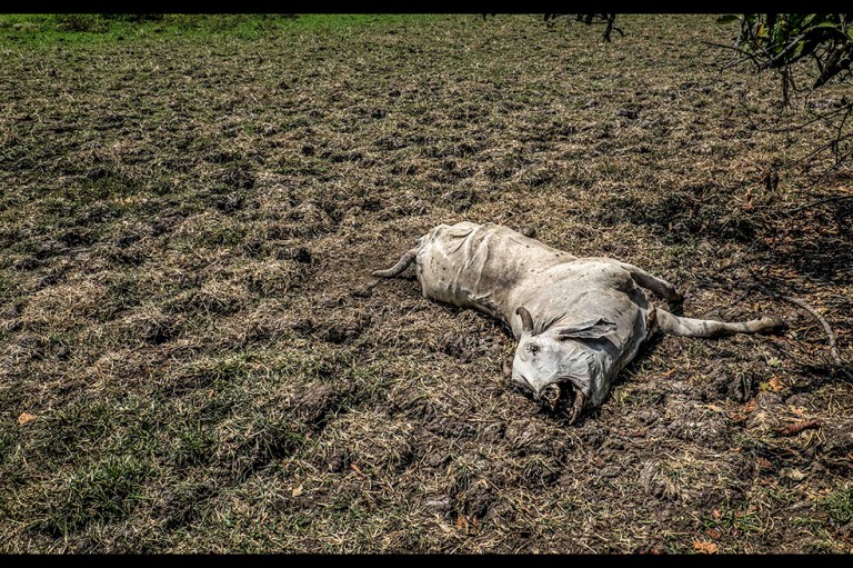 La devastación ambiental de ‘El Niño’ en el norte de Colombia