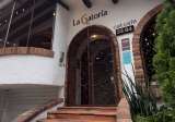 Un cafecito en compañía de gatos: así funciona La Gatoria, un catcafé en Medellín