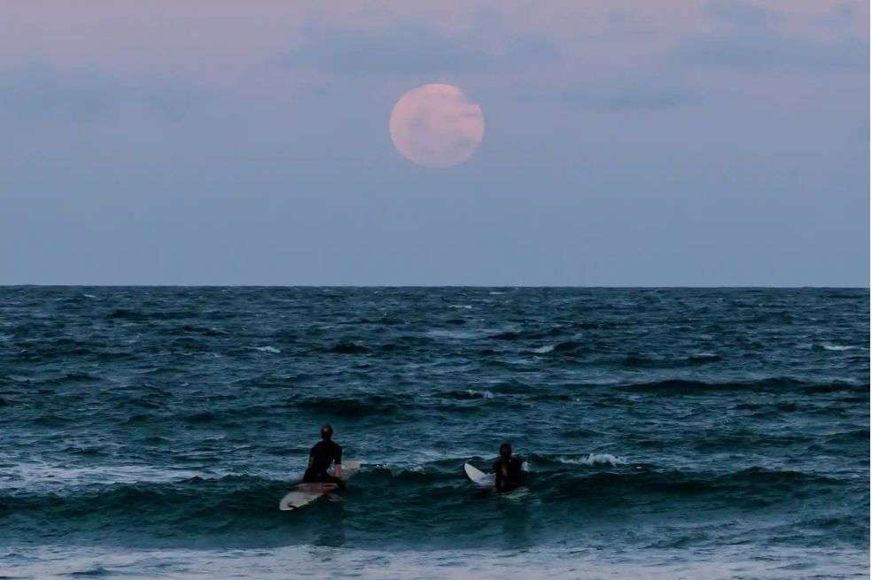 Los surfistas contemplan la luna llena en la playa de Manly en Sydney, Australia